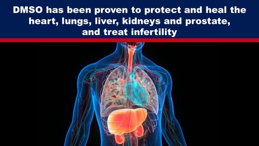 DMSO has been proven to protect and heal the heart, lungs, liver, kidneys and prostate, and treat infertility