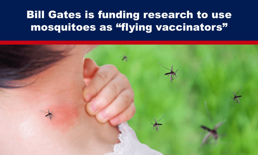 Bill Gates is funding research to use mosquitoes as “flying vaccinators”