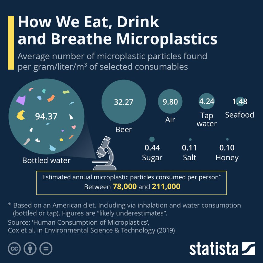 Study Shows Microplastics Linked to Cancer and Other Risks