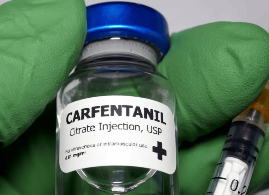 DC Warning: Drug 100X Worse Than Fentanyl Has Hit America, Deaths Rise Over 700 Percent