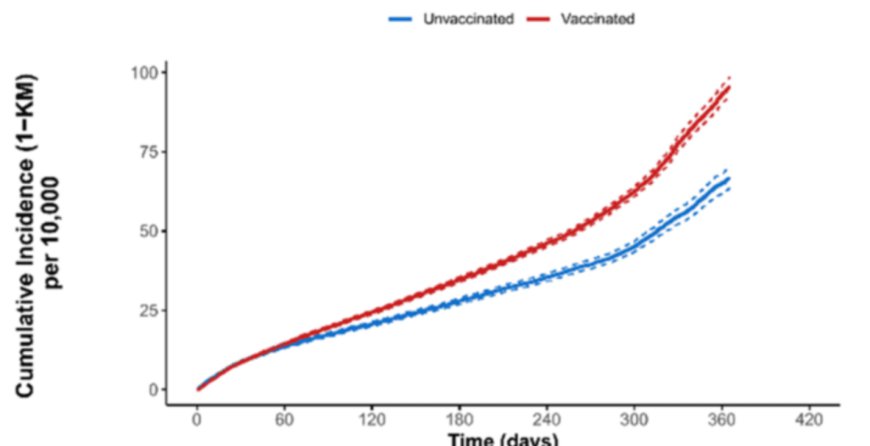 Revealed: The Hidden Pfizer Report That Shows Heart Conditions in the Vaccinated Getting Worse Over Time