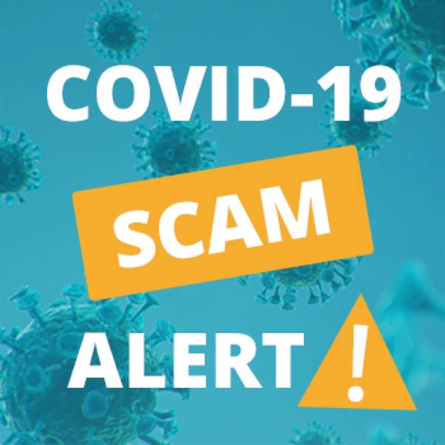 IT’S OFFICIAL: COVID WAS A SCAM