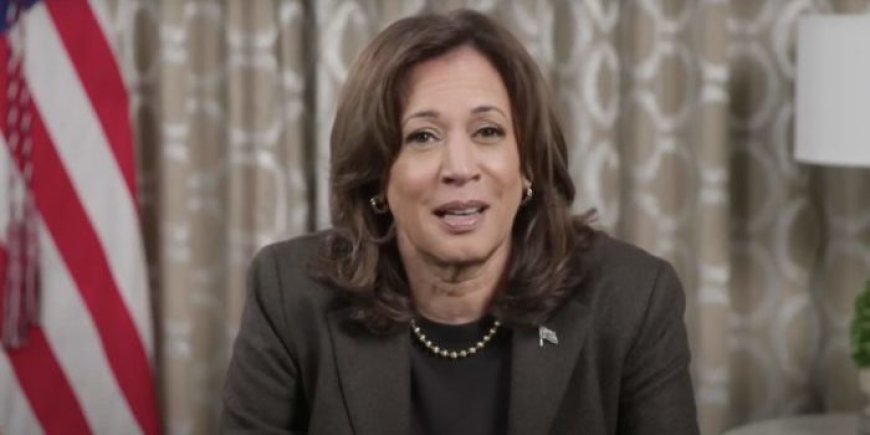 Leftists’ Conspiracy Shattered After Kamala Certifies 2024 Election