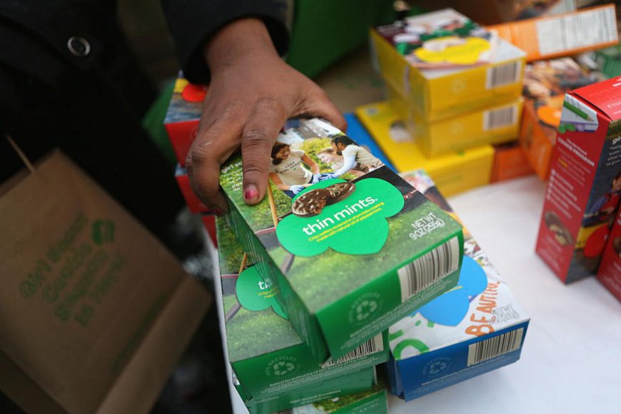 Get Ready Southeast Minnesota: Girl Scout Cookies Are Almost Here