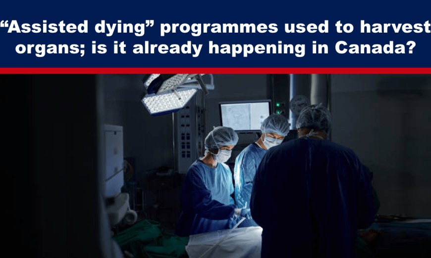 “Assisted dying” programmes used to harvest organs; is it already happening in Canada?