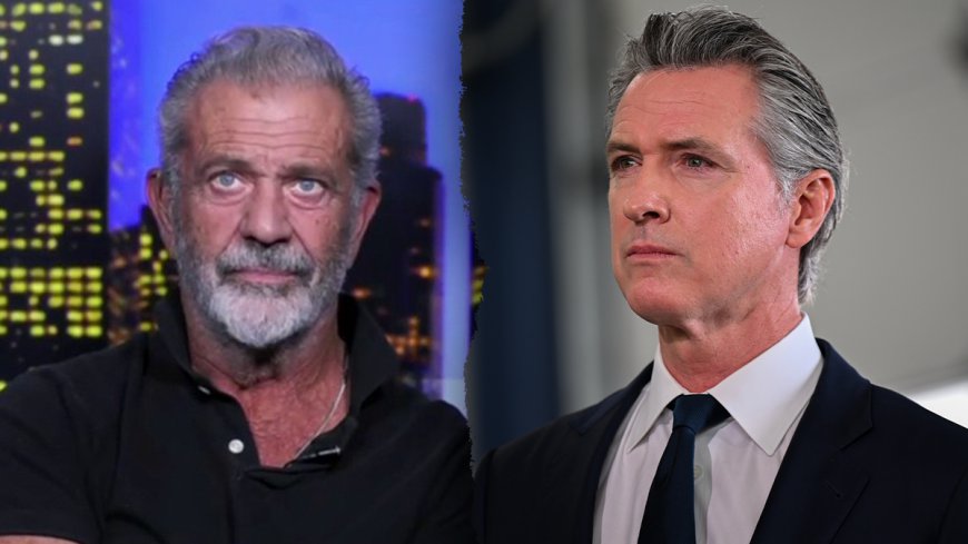 Mel Gibson tears into Cali leaders 'asleep on the job' amid wildfires: 'Something they have to live with'