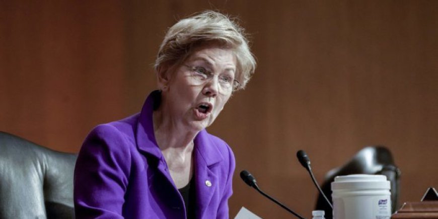 ‘Pocahontas’ Warren Grifts on LA Fires to Solicit Campaign Donations