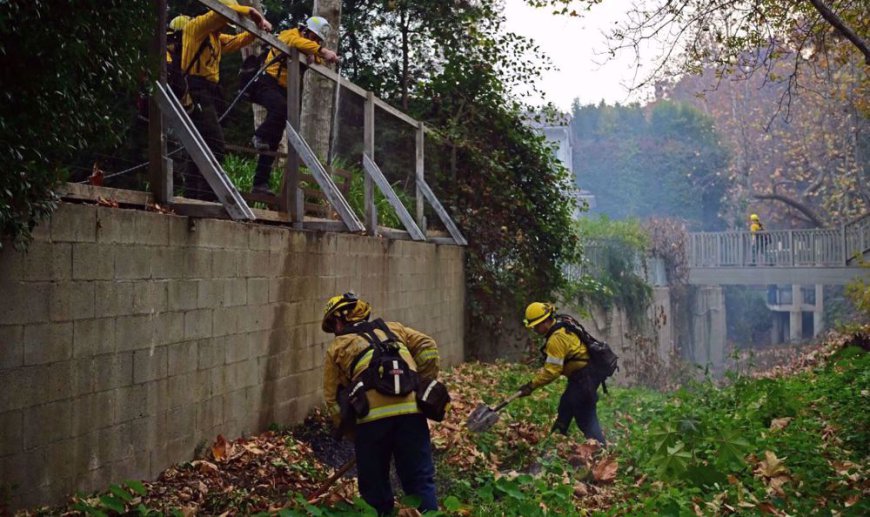 Death toll from Los Angeles wildfire rises to 16 as looters raid homes