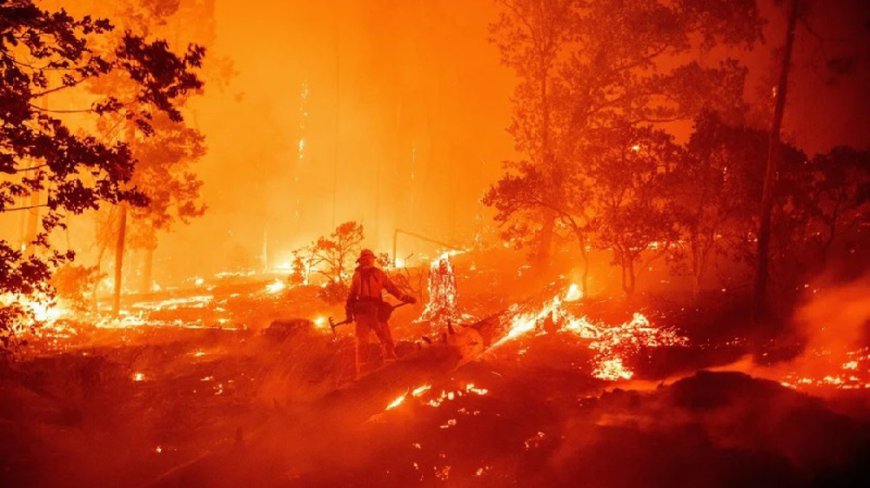 California wildfires, administrative incompetence