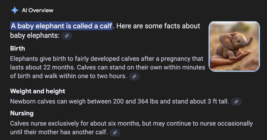 Google’s AI Overview Believes Baby Elephants Can Sit in the Palm of a Human Hand