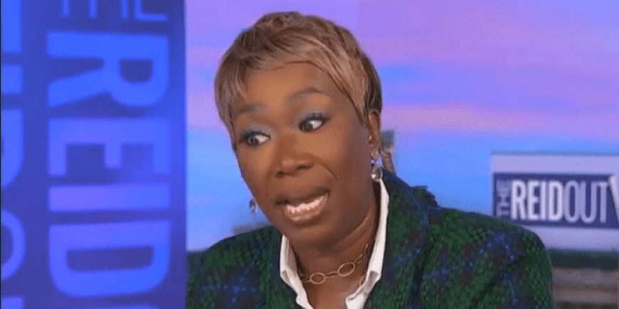 Joy Reid Claims ‘Billionaire Right’ Wants to Take Over Calif. And Make It An ‘Apartheid State’