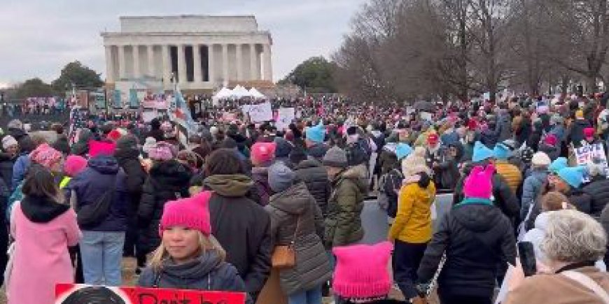 Return of the Pussy Hat: Leftist Protesters March on DC Before Trump Inauguration